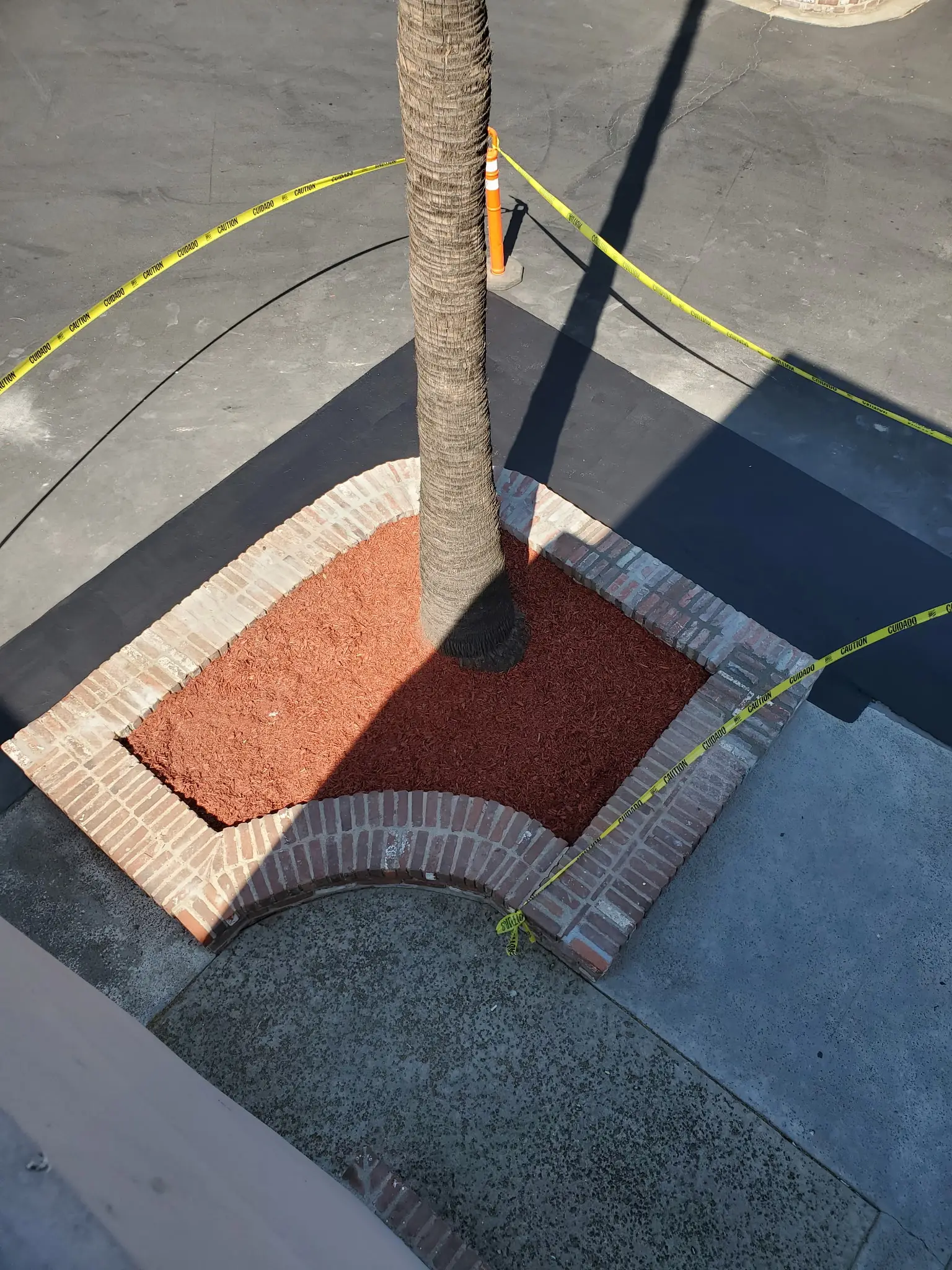 Rebuilt curb and planter widening the accessible route through a commercial parking lot